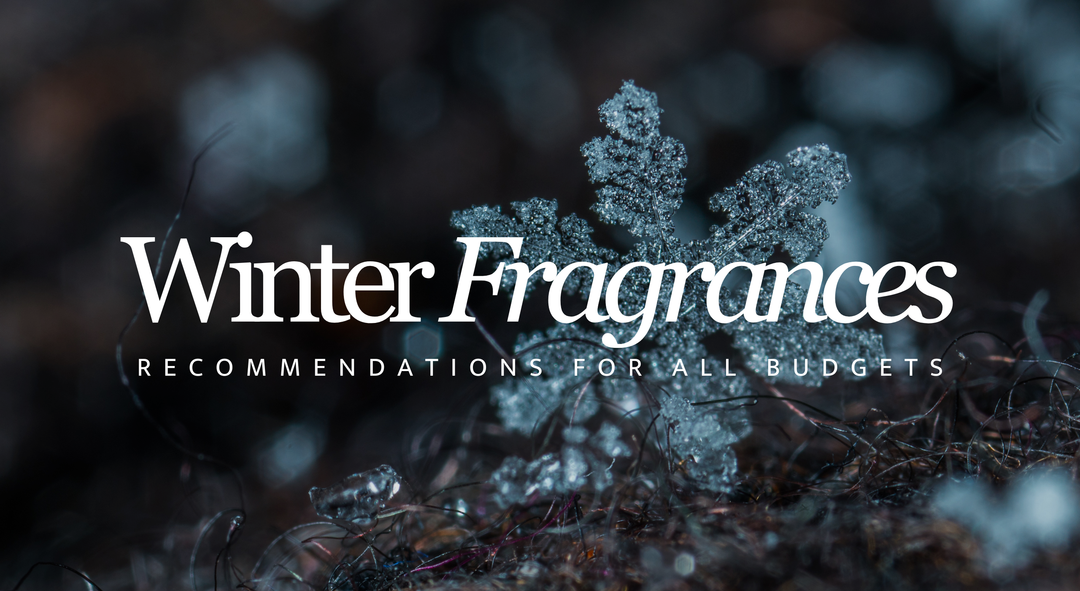 Budget to Luxe: Best Winter Perfumes