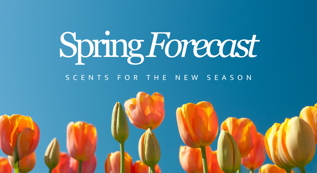 Spring Fragrance Forecast: Fresh Scents for the New Season
