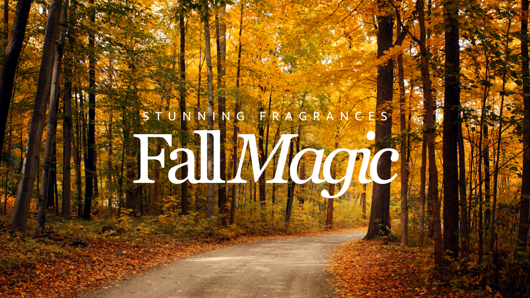 Popular Fall Fragrances: Capture the Season's Essence in 2024