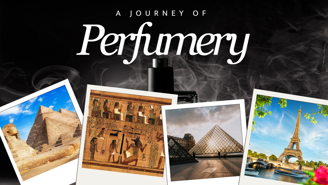 From Pharaoh's Tombs to Parisian Boutiques: A Journey of Perfumery