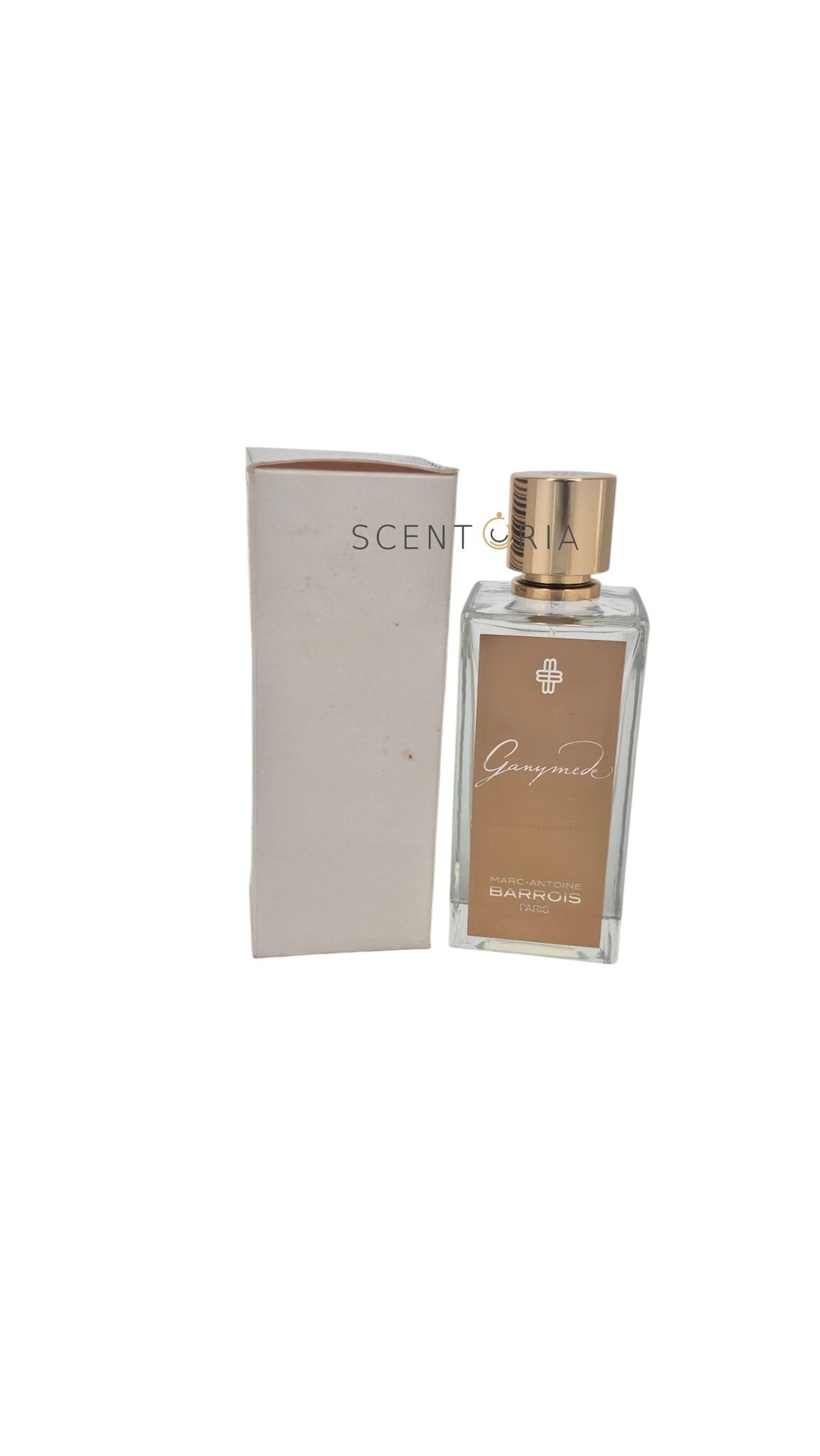 Ganymede EDP Partial
