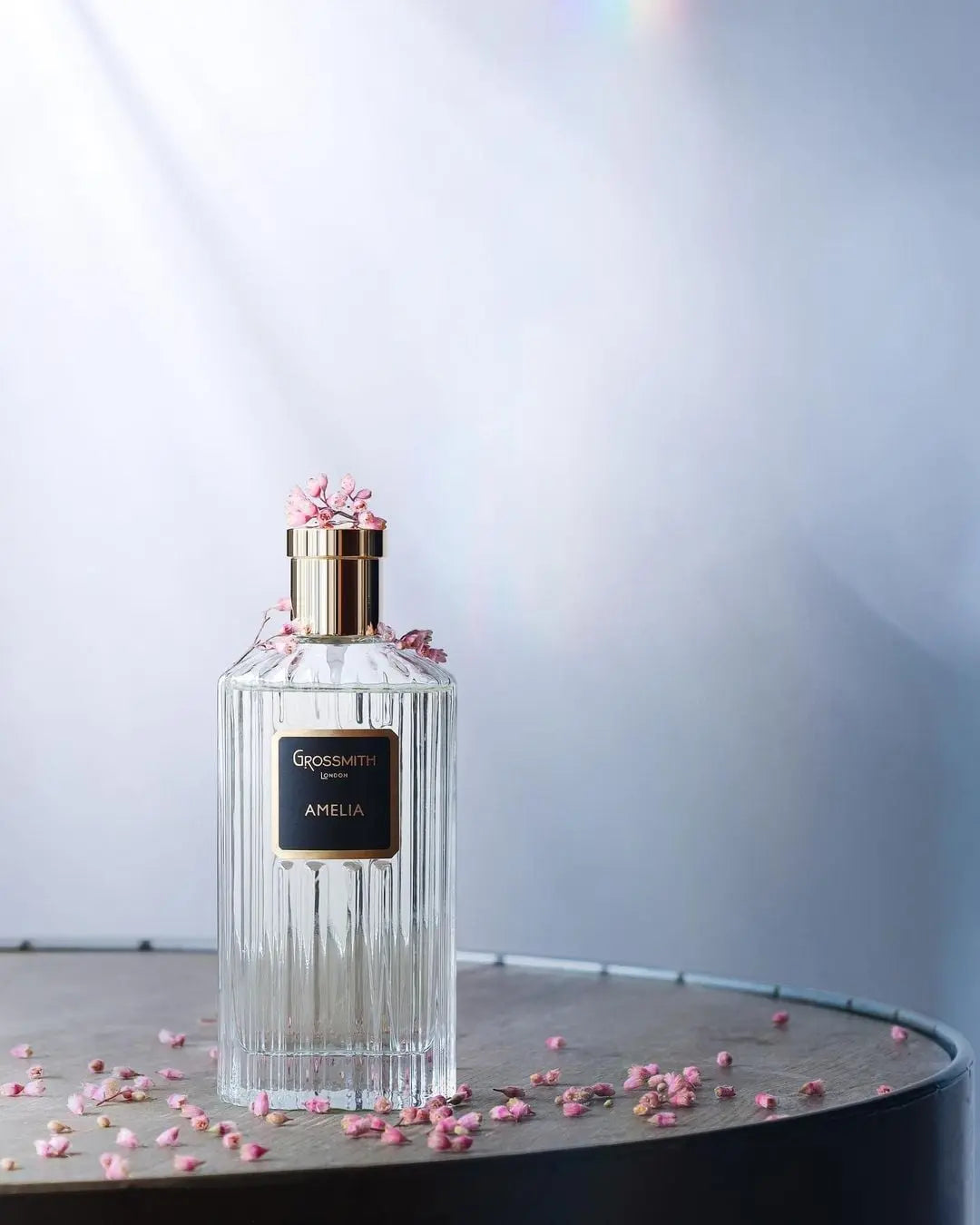 Amelia EDP
