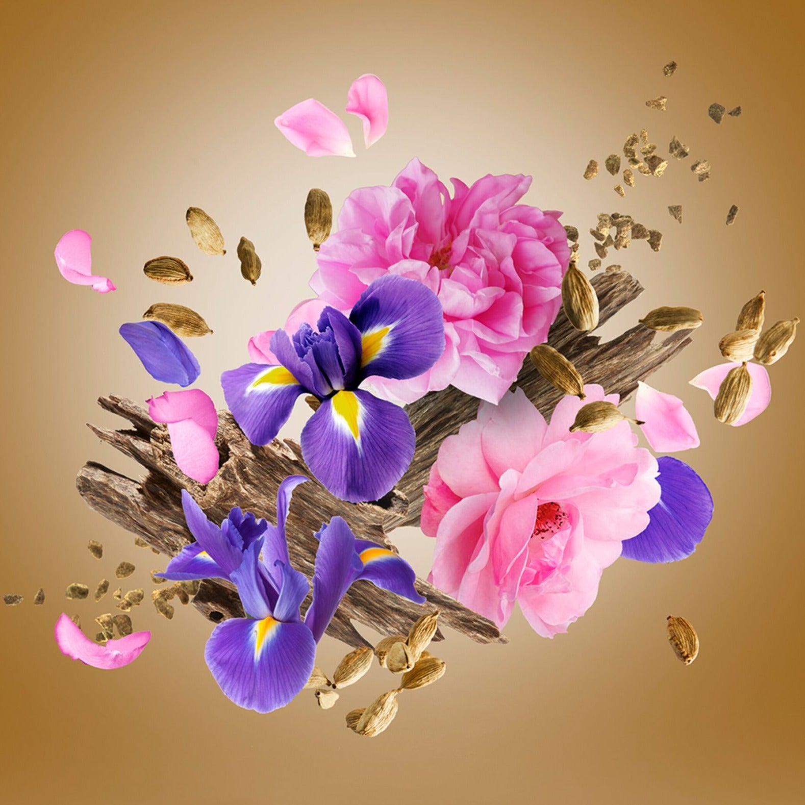 Alexandria II Parfum – Scentoria