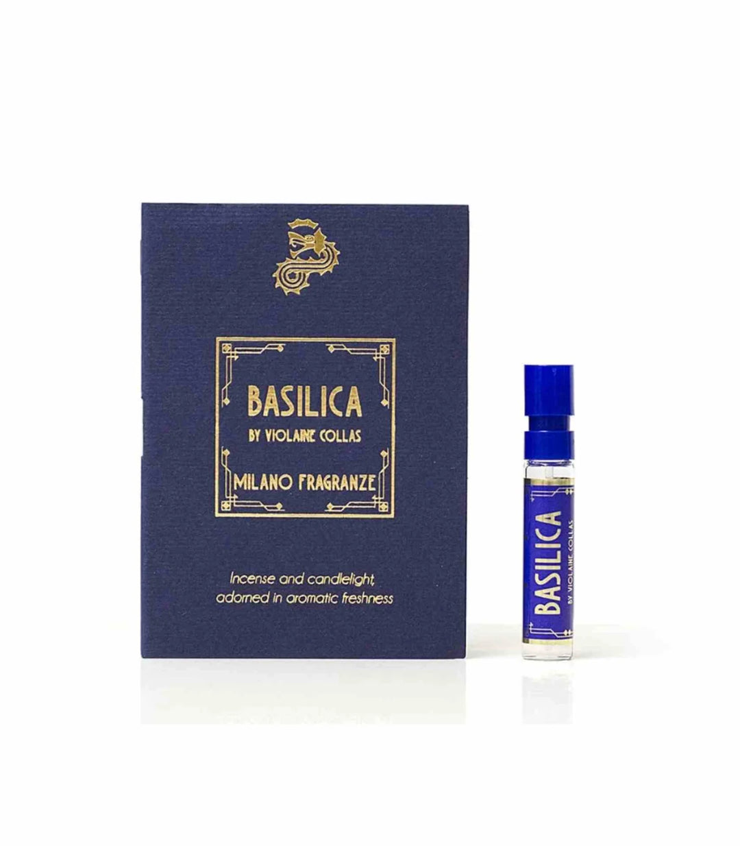 Basilica EDP