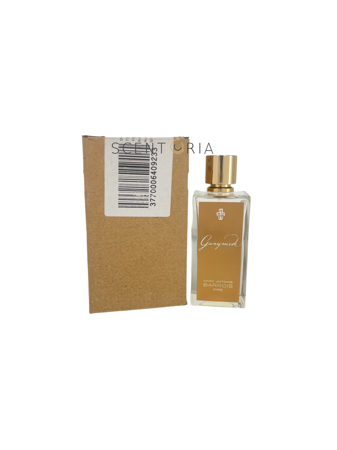 Ganymede EDP Partial