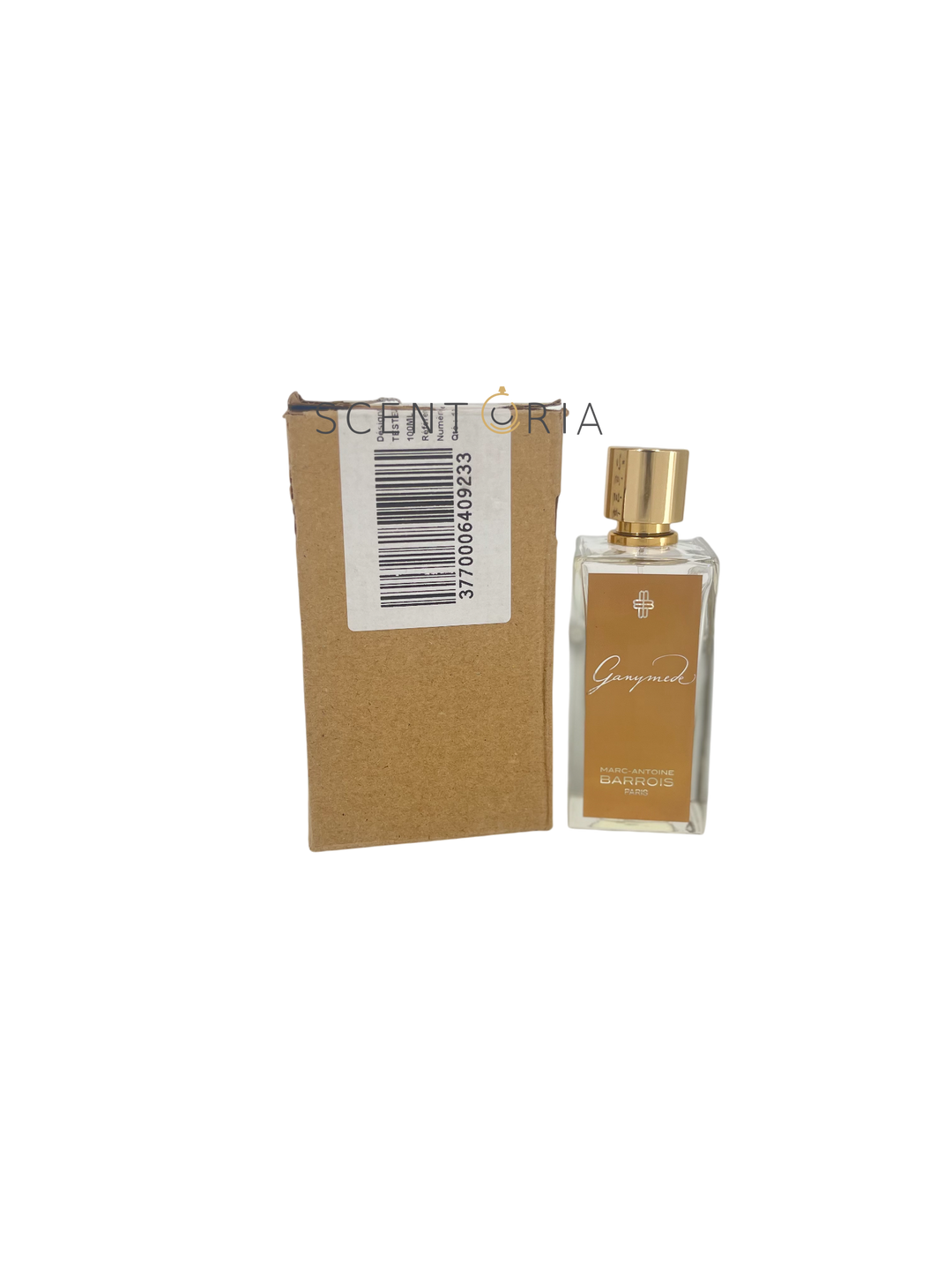 Ganymede EDP Partial