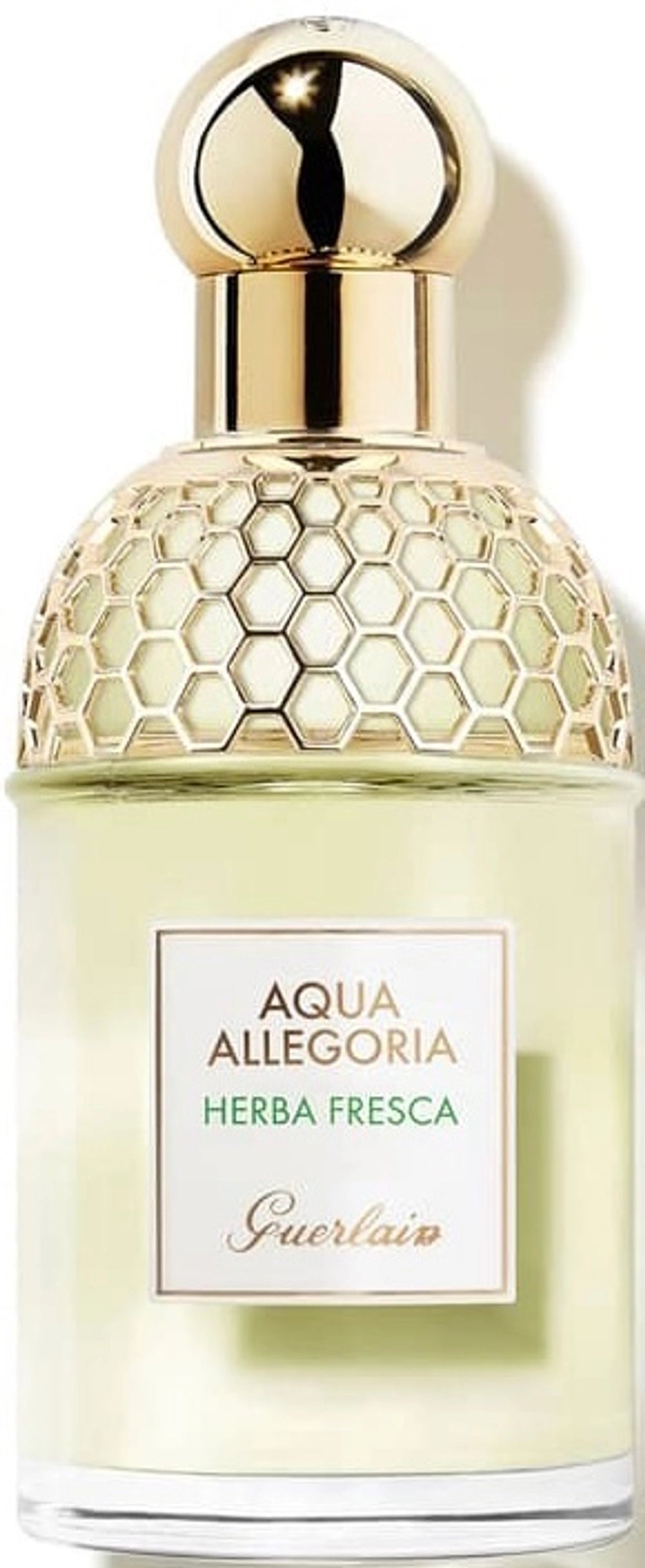 Aqua Allegoria Herba Fresca EDT