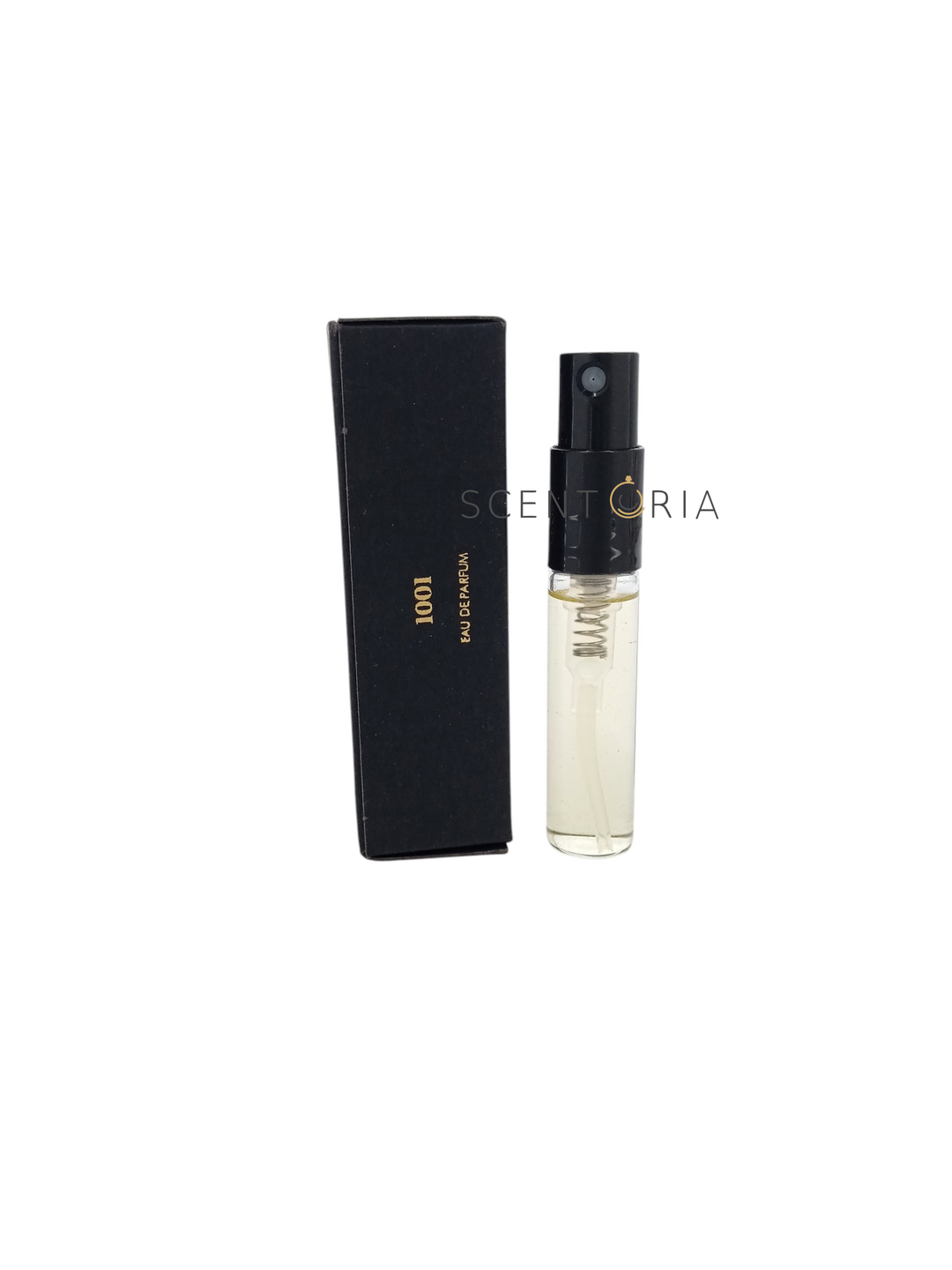 1001 EDP