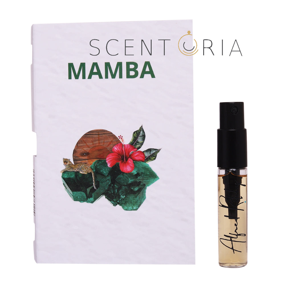 Mamba EDP