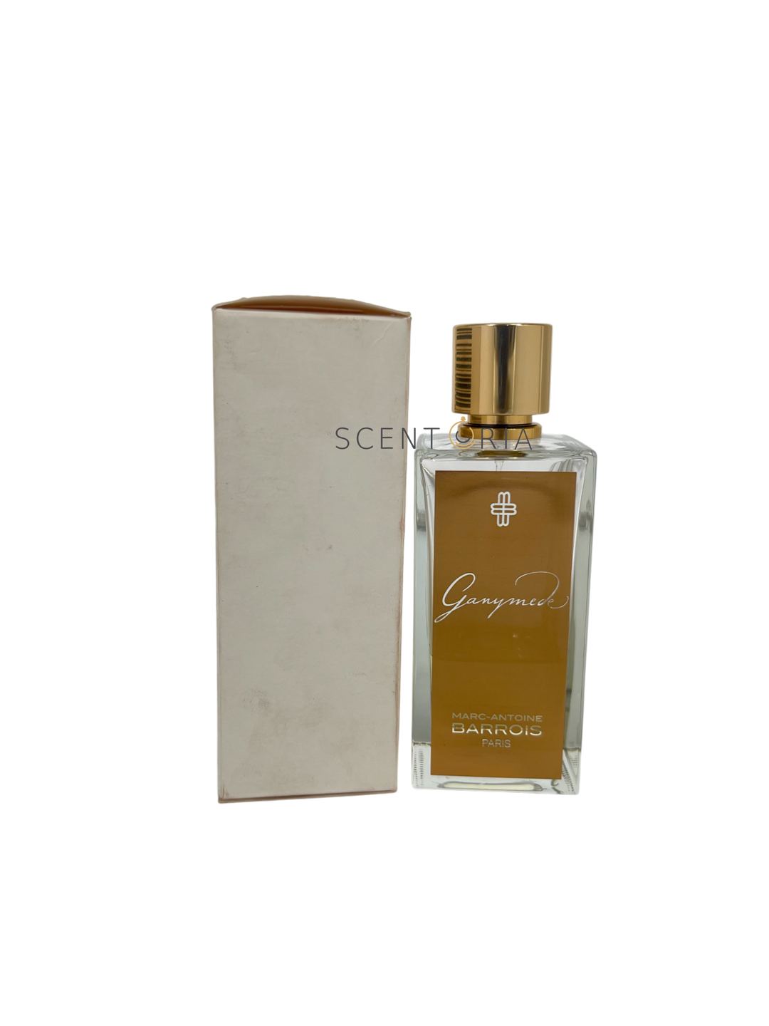 Ganymede EDP Partial