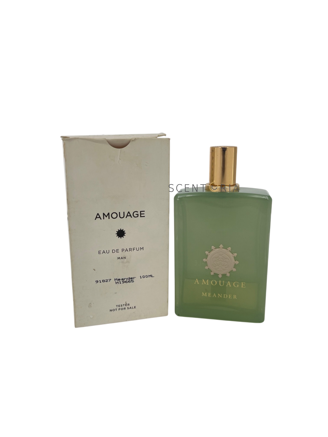 Meander EDP PARTIAL