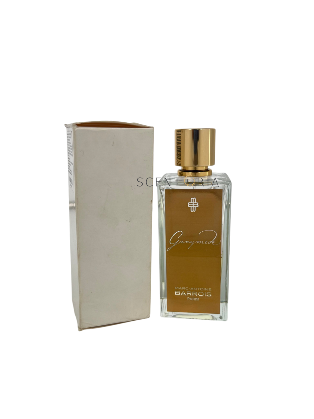 Ganymede EDP Partial