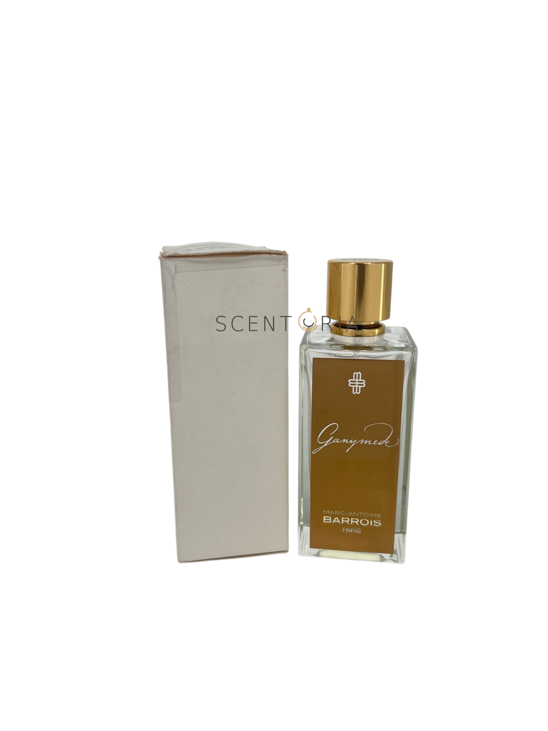 Ganymede EDP Partial