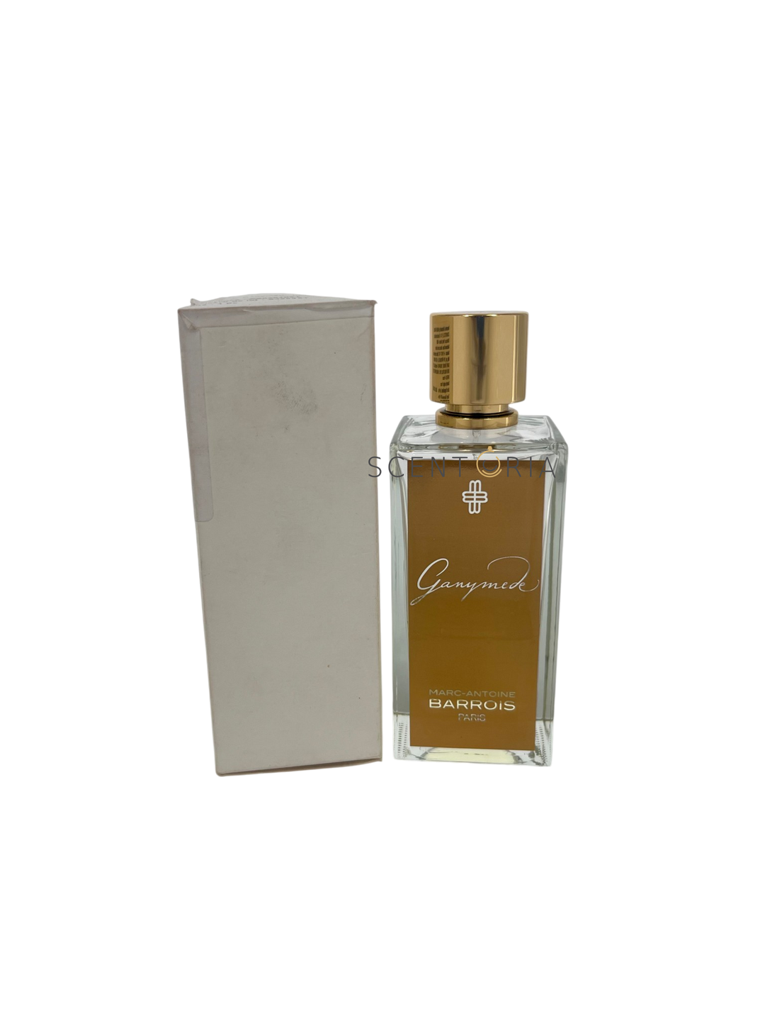 Ganymede EDP Partial