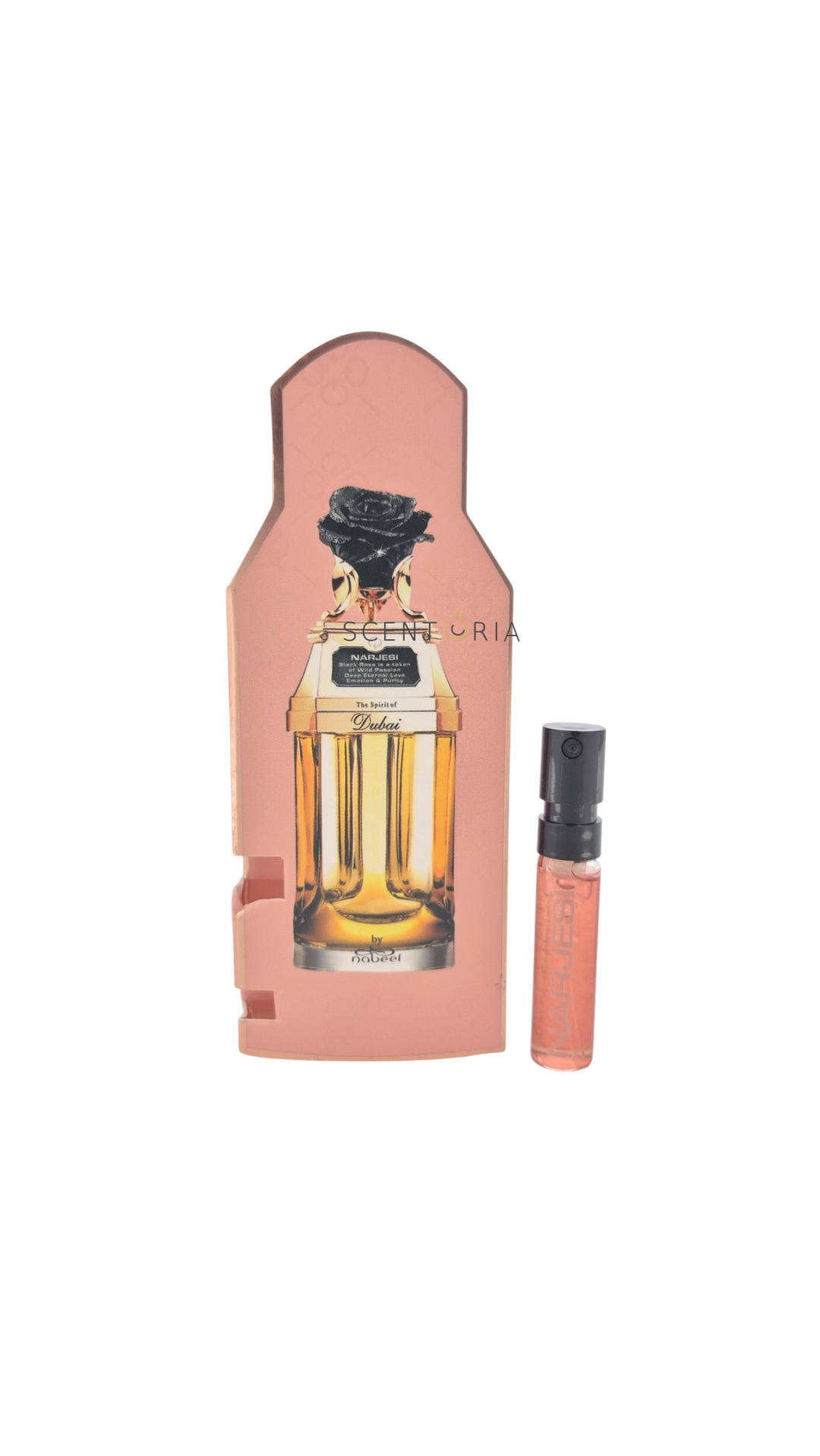 Narjesi EDP