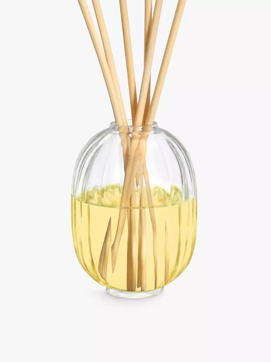 Sapin Home Fragrance Diffuer