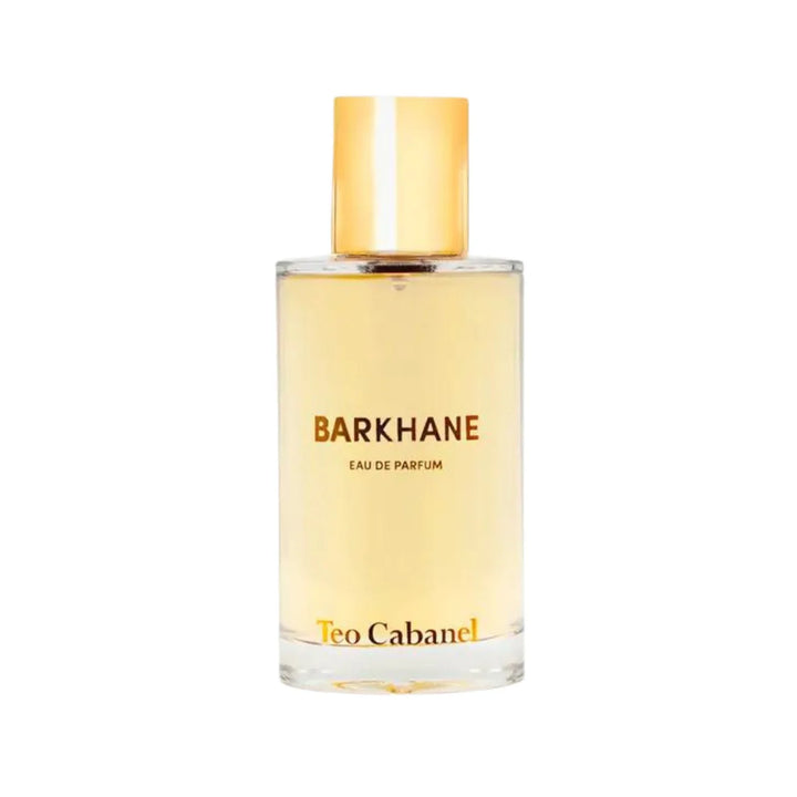Barkhane EDP