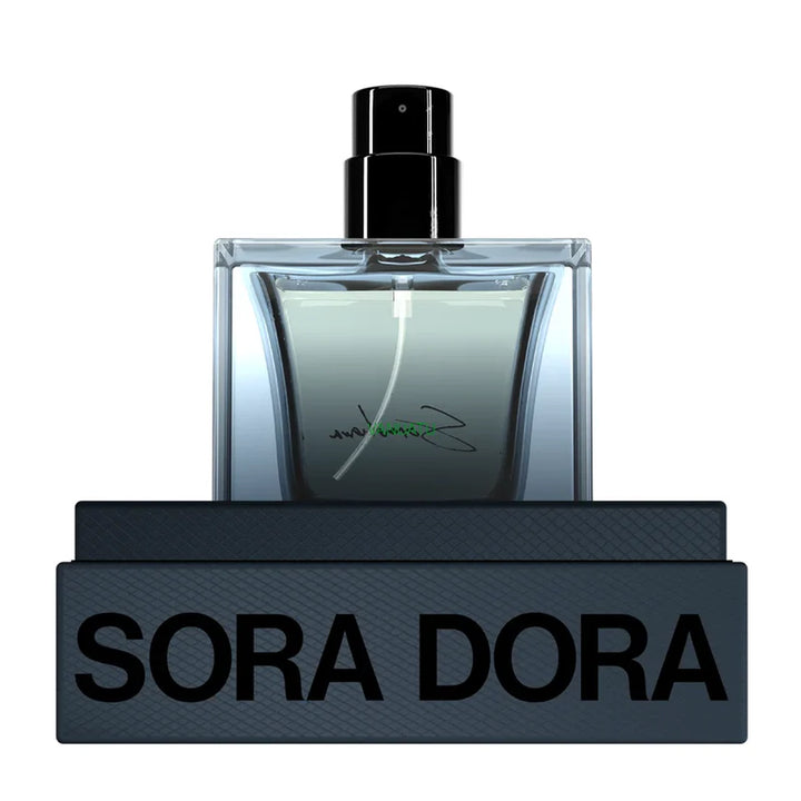 Vanuatu EDP