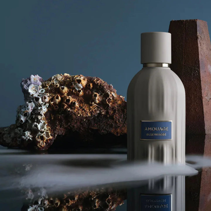 Elsewhere EDP