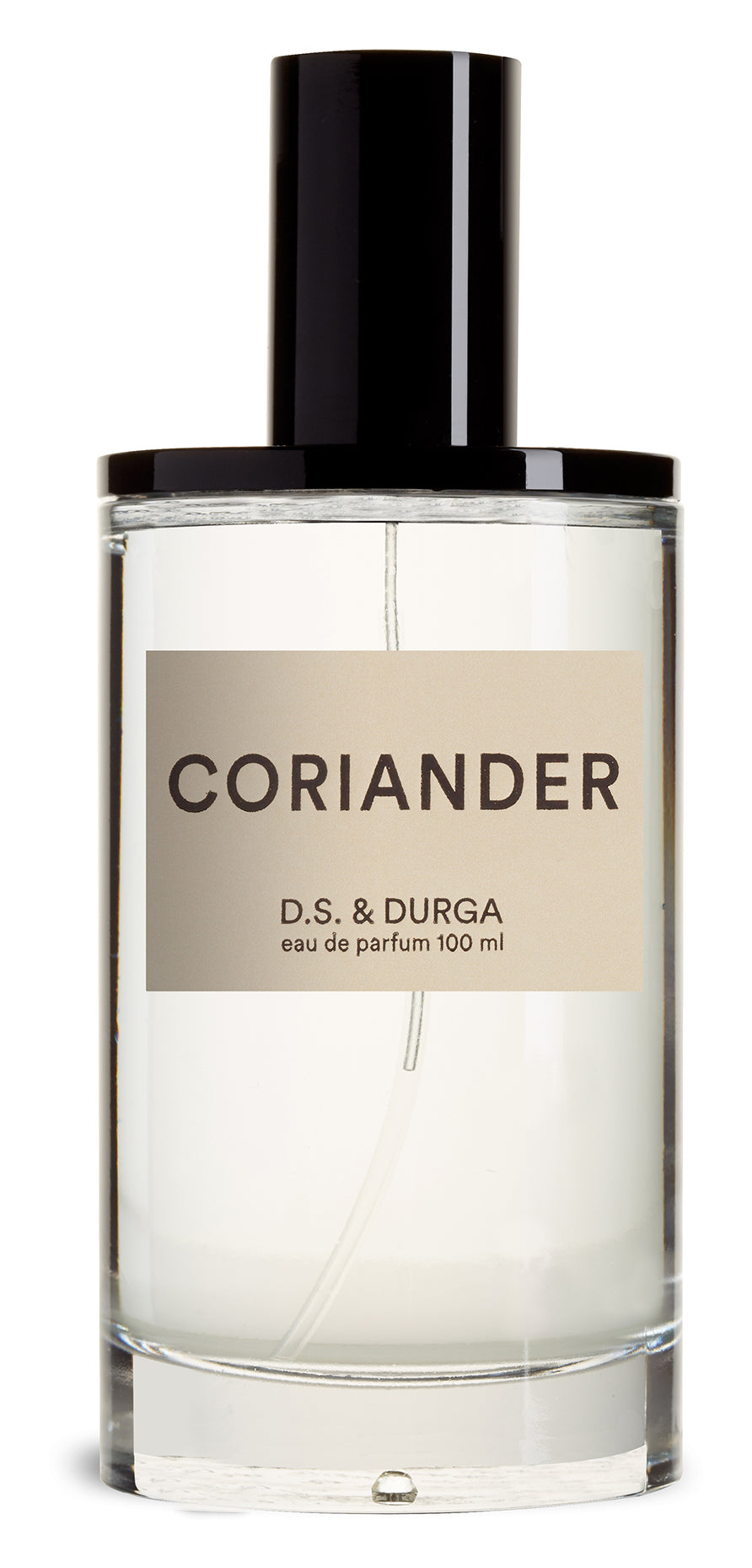 Coriander EDP