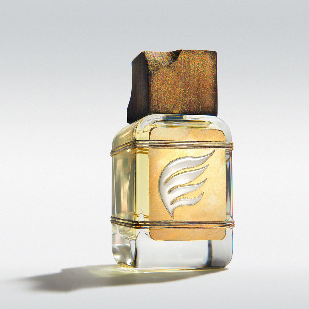 Albatros EDP